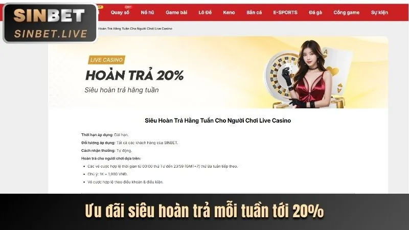 Bài viết về mã khuyến mãi mới nhất của 55vin code